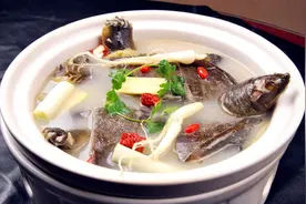 冬补正当时！千岛湖有机甲鱼，炖汤红烧都营养；东海大黄鱼，肥美紧实图片