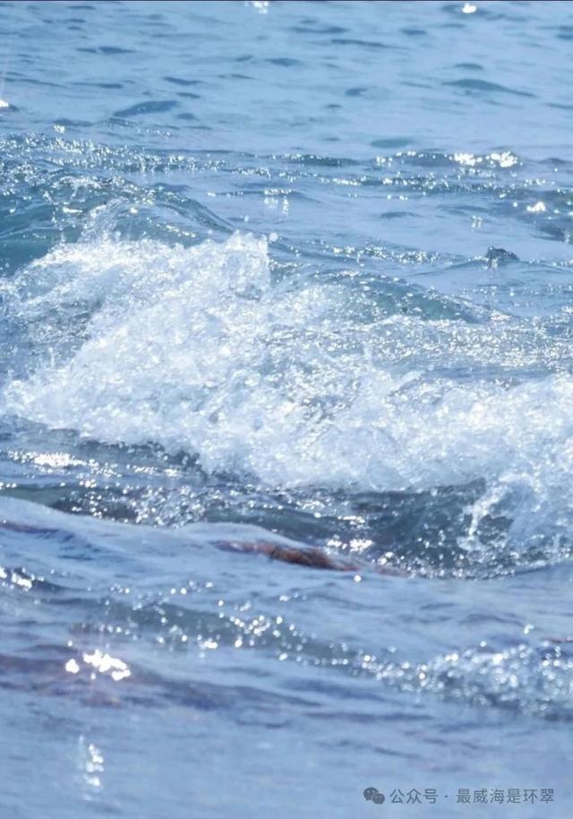威海七月惊现 “玻璃海”，错过这次再等一年！