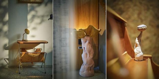 来东城这个胡同小院	，邂逅蘑菇精灵的童话秘境——