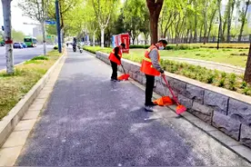 郑州市惠济区开启 “降絮大作战”图片