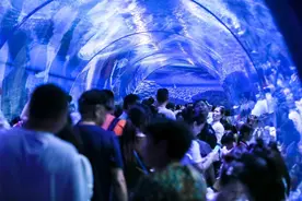 家庭游猛增，出境游复苏，研学游火热！近年来“最火爆”暑期落幕图片