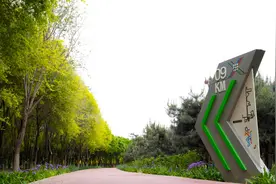 林间花海中感受松弛感！“北京花马”4月27日上午开跑图片