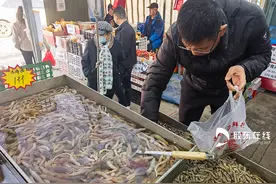 烟台春季海鲜市场热闹非凡 本地爬虾百元一斤仍受追捧图片