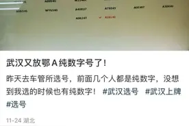 鄂A纯数字号牌大量发放？交警回应图片