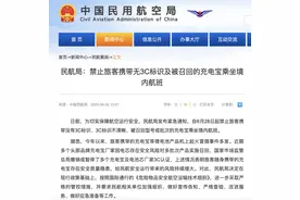 两大头部爆雷、安检严查，充电宝行业洗牌在即图片
