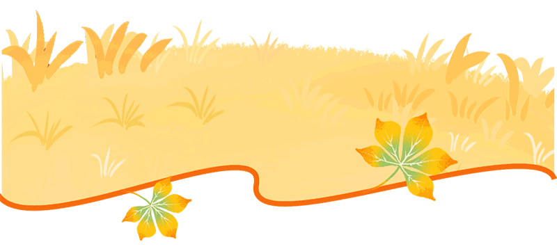 秋假去哪儿?来仪陇可以这样玩→