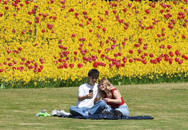 意大利：春天的花海