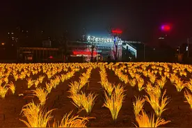 南沙夜色，超Nice！图片