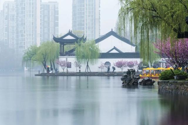 莫愁湖的四时美景，你见过多少？