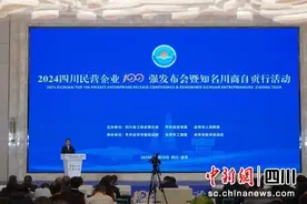 2024四川民企百强发布 2家入围世界500强图片