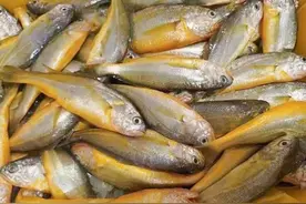 网店售卖“舟山小黄鱼”被起诉后赔偿1万元 产自江苏且未获得舟山水产协会准许图片