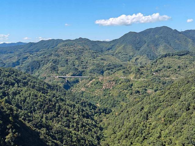 “四明三千里”采风行！跟着诗人游宁波四明山邂逅诗意与清凉