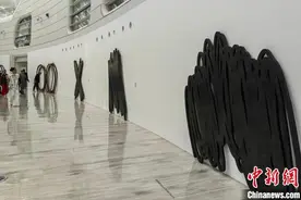 法国艺术家贝纳·维内大型回顾展首次亮相中国图片