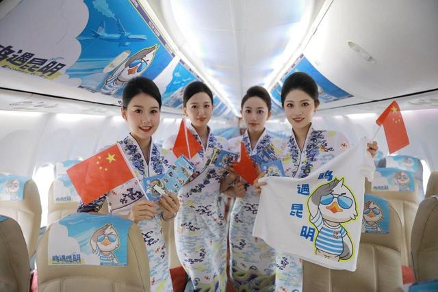 护航观鸥季⑤丨暖心“鸥”遇！就在这场人鸥同乐的双向奔赴里……