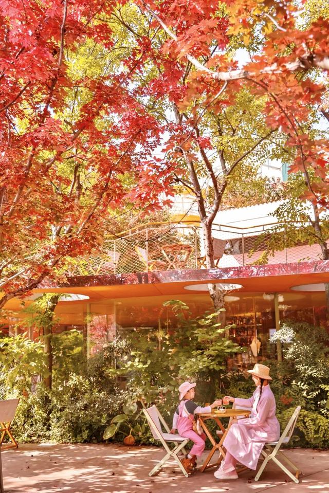 日照色彩派对开启！“美拉德”风景正当时！