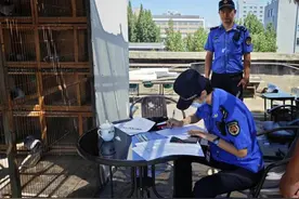 北京朝阳和平街执法队拆除违建鸽棚图片