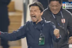 压着打！亚泰99分钟绝杀国安，谢晖冲出替补席疯狂挥拳庆祝👊图片