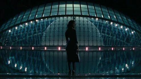 法律可以私人定制吗：当大数据和算法成为每个人的“法官”