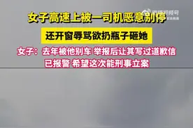 男子高速上恶意别车，已被采取刑事强制措施图片