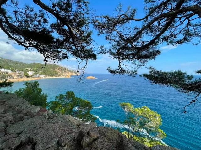 西班牙旅行随笔之加泰罗尼亚（上）