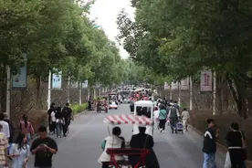 来宝山赏美景！顾村公园“双节”期间接待游客超8万人次图片