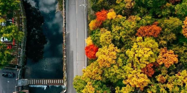 亮相央视！洛阳这些赏秋地，太美！