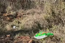 菜花蛇、猫头鹰、小熊猫……云南警局里小动物快挤不下了图片