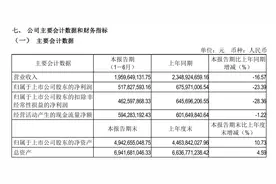 上半年净利润同比下滑23.39%，实控人将获现金分红近亿元  “游戏茅”吉比特“问道”何方？图片