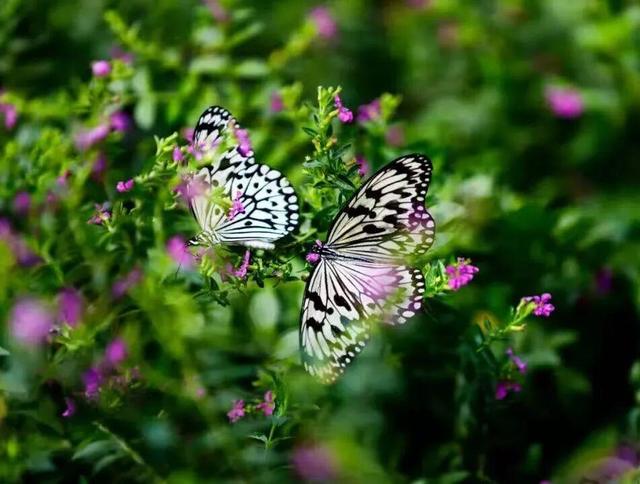 “冬享沂蒙过大年”推出民俗之旅，邀您赴一场山水烟火暖冬之约