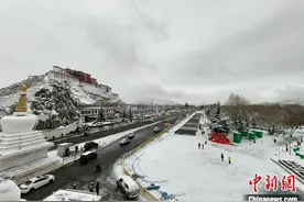 受降雪影响 西藏布达拉宫18日暂停对外开放图片