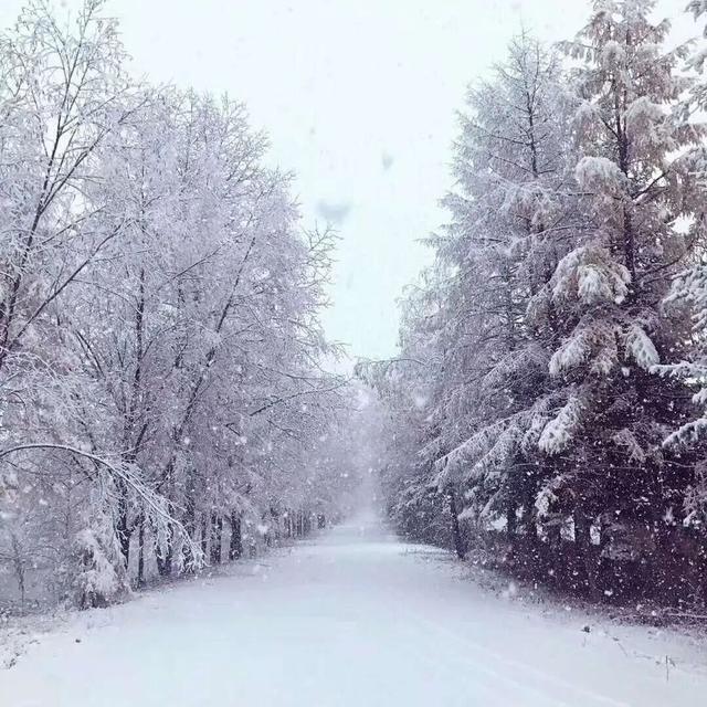 今年冬天，把方向盘“交给”呼伦贝尔