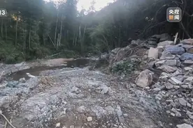 “2000多吨垃圾倒入外省”背后的真相图片