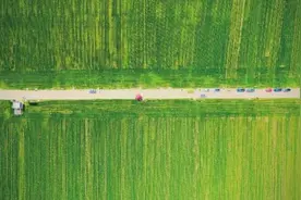 陕西西安周末晴暖天气持续 户外游玩正当时图片