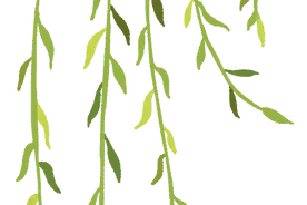 关于全民义务植树，你想知道的都在这里图片