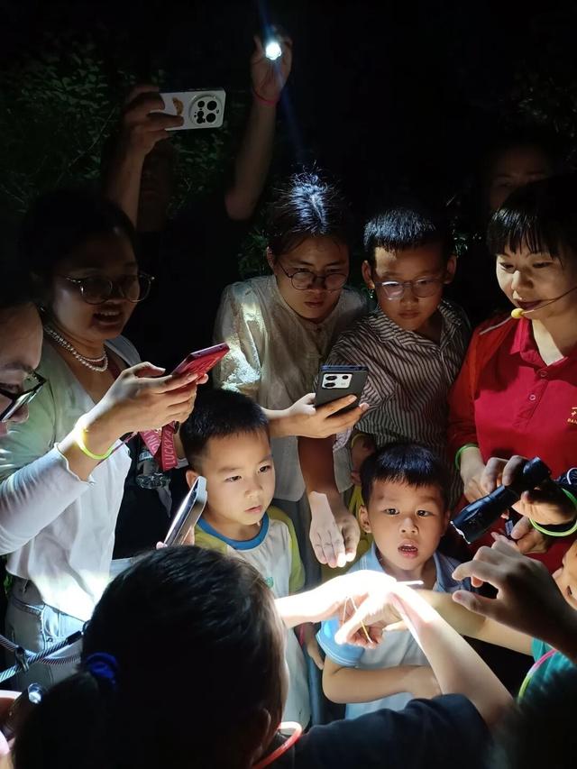 三家上榜！仁化民宿获省级高品质认证