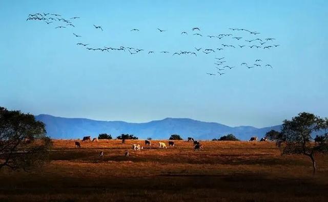 不来珲春，怎知秋色如许？（惊艳美图来袭）