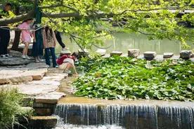 昼有泉涌，夜有诗酒，明水古城“诗意清照·泉水生活节”启幕！图片