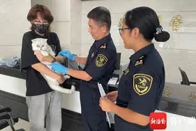 海口海关提醒：伴侣宠物“携证”出境需注意这些→图片