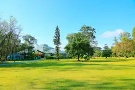 气候变化如何影响植物生长？研究为未来预测提供依据图片