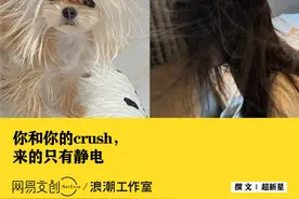 一天被电800遍，求静电放过我们北方人图片
