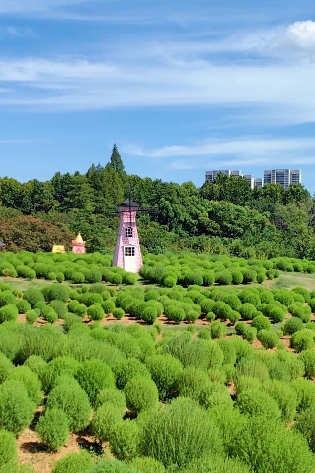 送票 | 今年的第一场秋游，来东湖