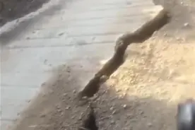 云南昭通一地路面开裂，镇政府：有地质灾害安全隐患，附近村民已转移图片