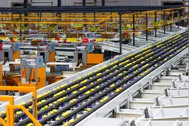 岁末经济微观察丨出口全国第一，一颗安岳柠檬何以走向世界？图片