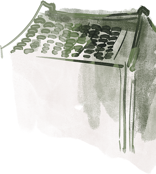 清明假期不闭馆‼️但这天别跑空哦～