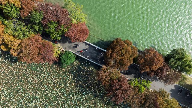 俯瞰初冬景色＃