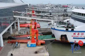 春运琼州海峡北岸港口实施全面预约过海图片
