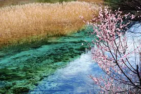 调价、限流、免票……最美人间四月天，看四川各大景区新动向图片