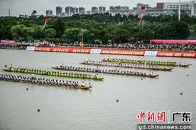 东莞举办40多项活动掀起“最长龙舟月”图片