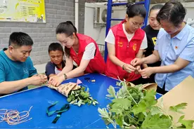 端午｜药香飘校园 师生迎端午图片