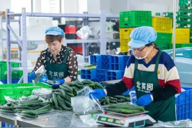 延庆二十载绿色蝶变：生态优势激活产业新动能图片